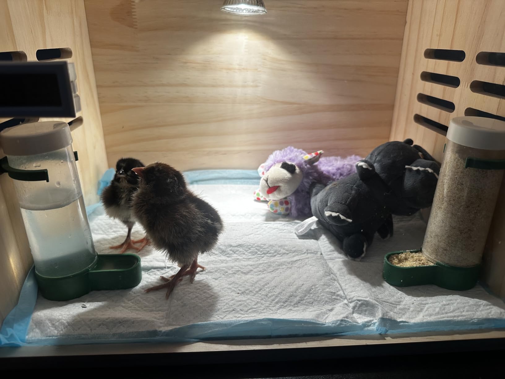 Large Wooden Chick Brooder Box with Drawers, 3 Heat Lamps and Thermostat customer photo 1