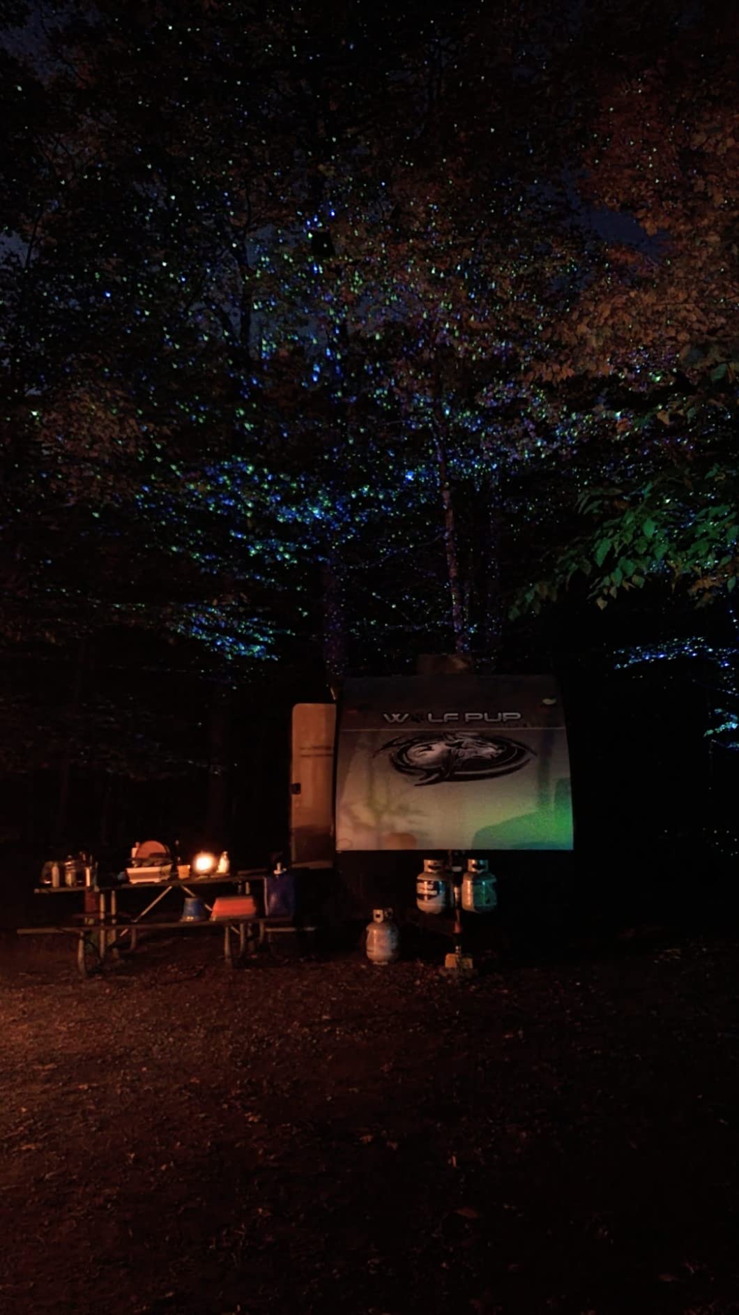 CAIYUE Outdoor Christmas Projector, Three Color RGB Waterproof Projector customer photo 1