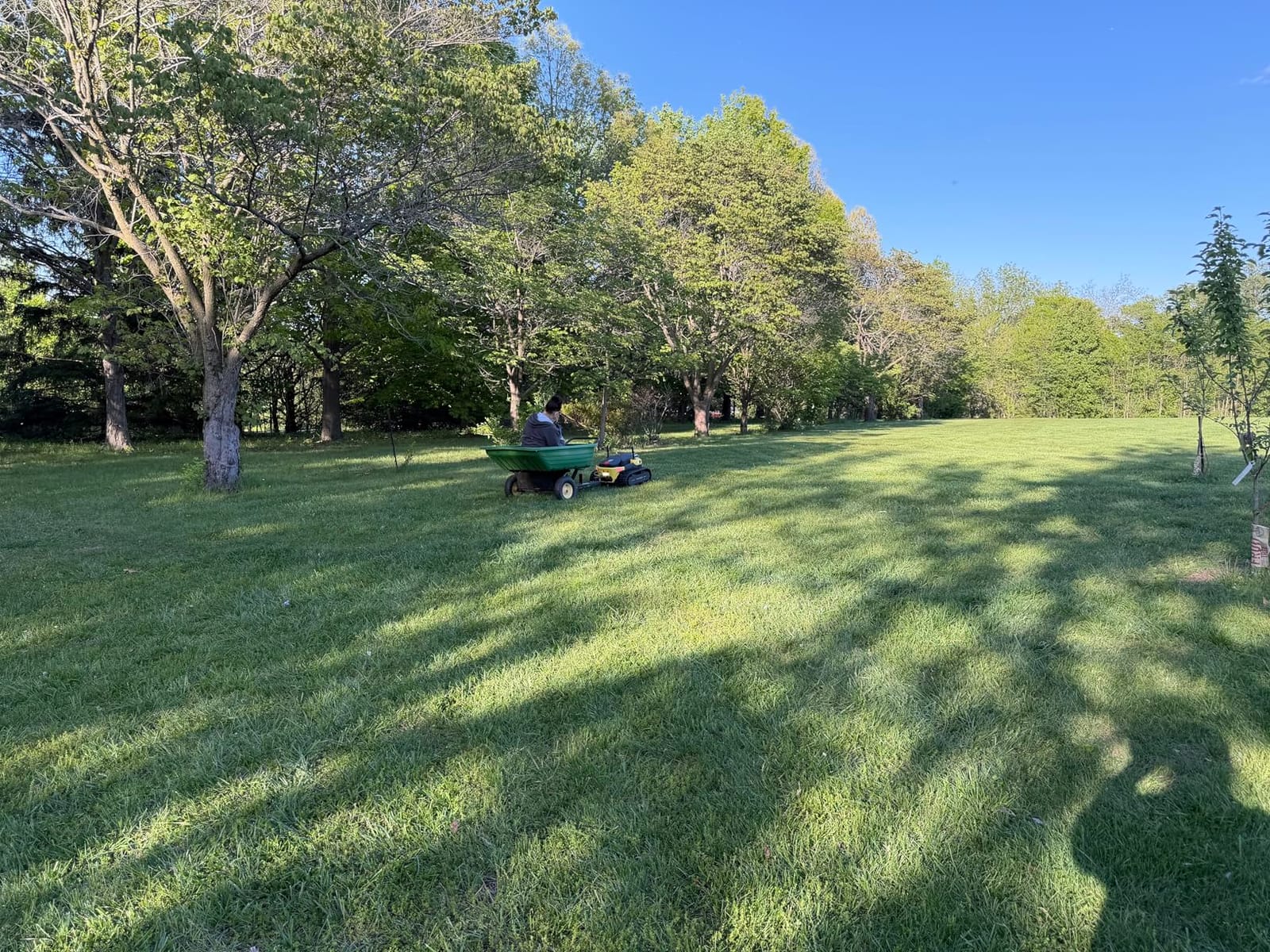 YARBO Robot Lawn Mower, Wire-Free with Modular Design, for Large Yard customer photo 2
