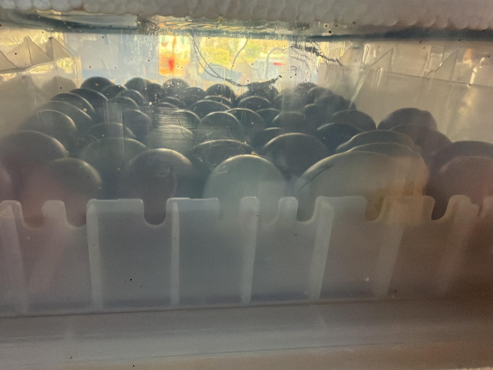 Egg Incubator for Hatching 120 Eggs with 5 Auto Incubation Models customer photo 1