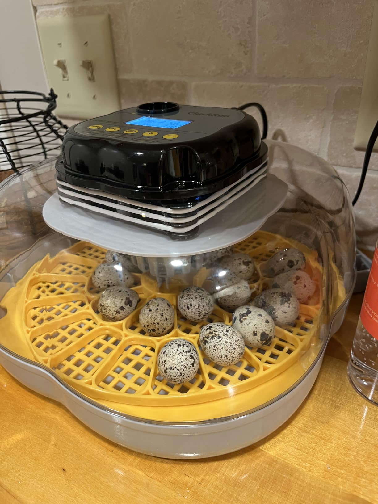 25 Egg Incubators for Hatching Eggs, Auto Turning, Temp & Humidity Control customer photo 1