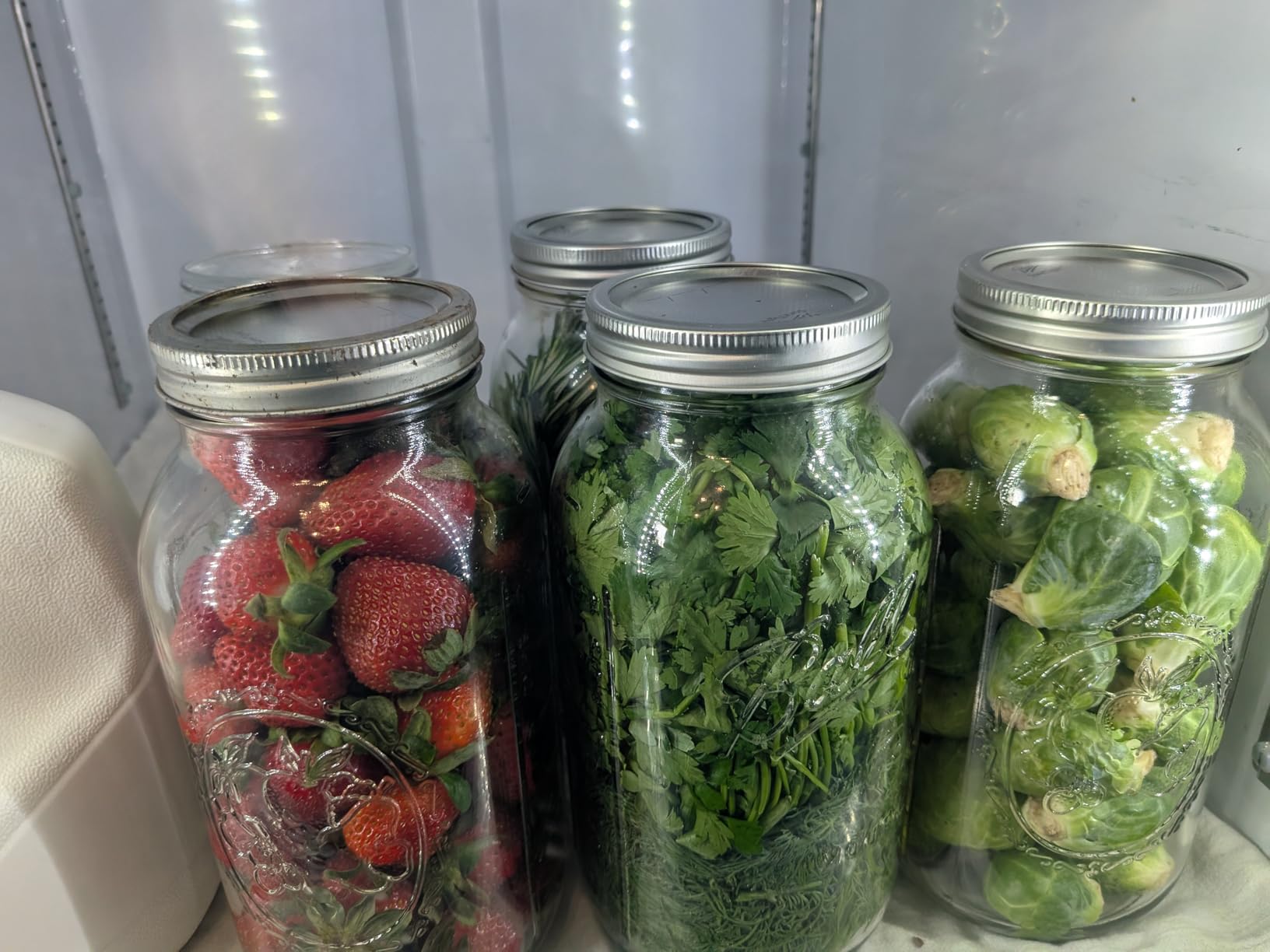 Electric Mason Jar Vacuum Sealer Kit with Wide & Regular Mouth Mason Lids customer photo 2