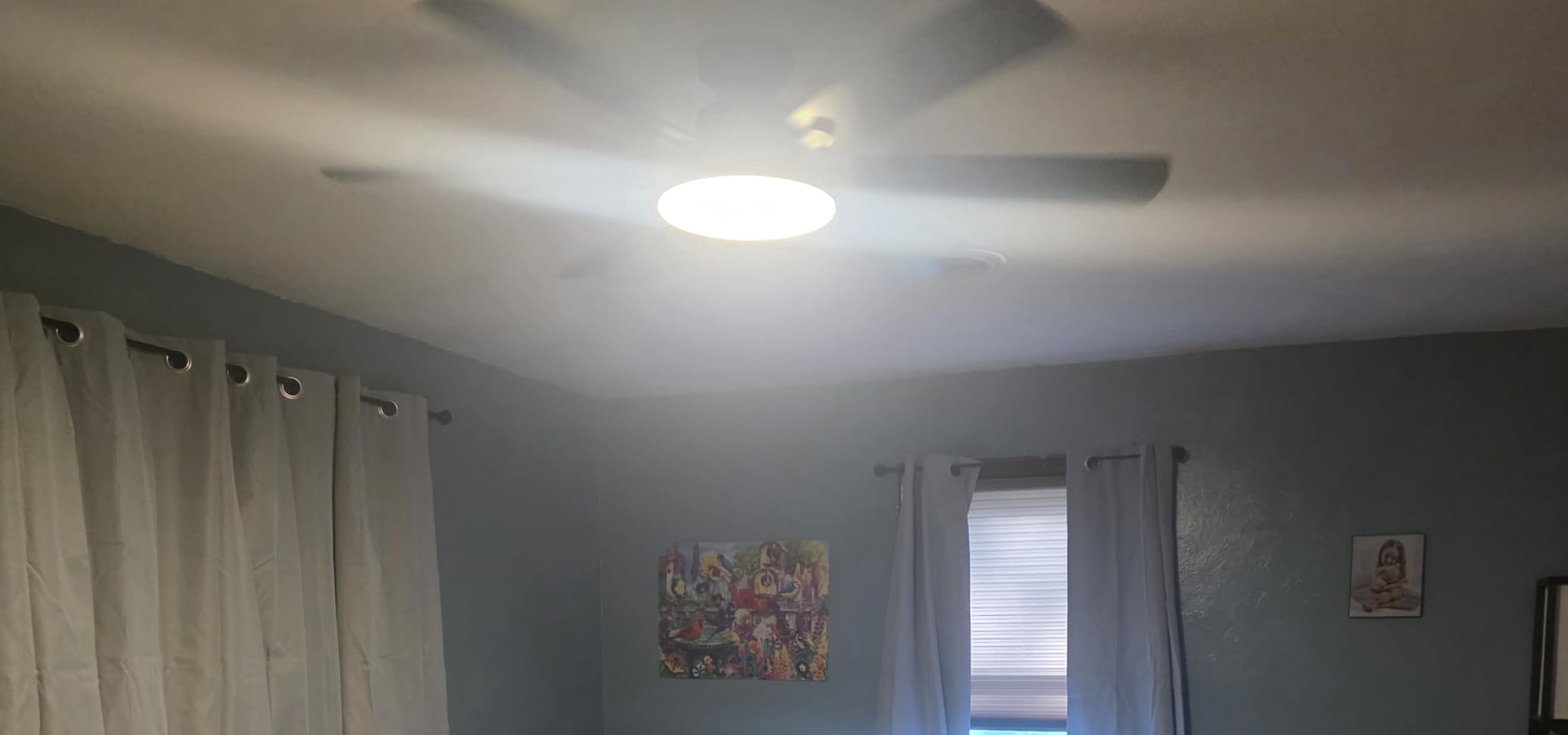 52'' Ceiling Fans with Lights and Remote Control for Living Room customer photo 1