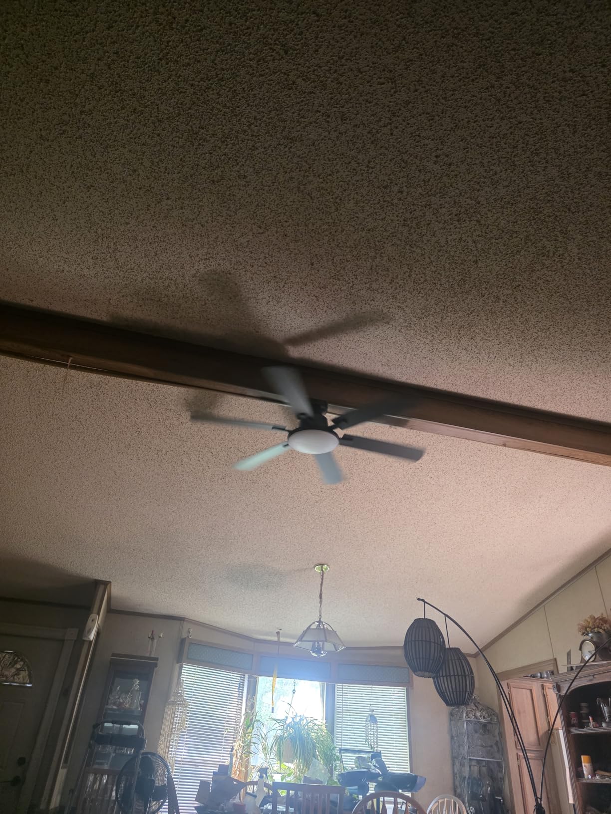 52'' Ceiling Fans with Lights and Remote Control for Living Room customer photo 2