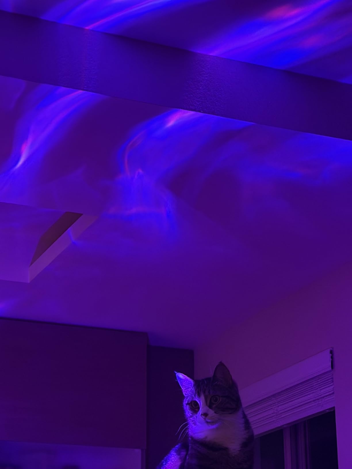 Northern Lights Projector Galaxy Projector with 300+ Light Effects Sound Machine, LED Star Projector Aurora Light, Remote Control, 15 White Noises Bluetooth Speaker Birthday Gifts for Kids Room Decor customer photo 1