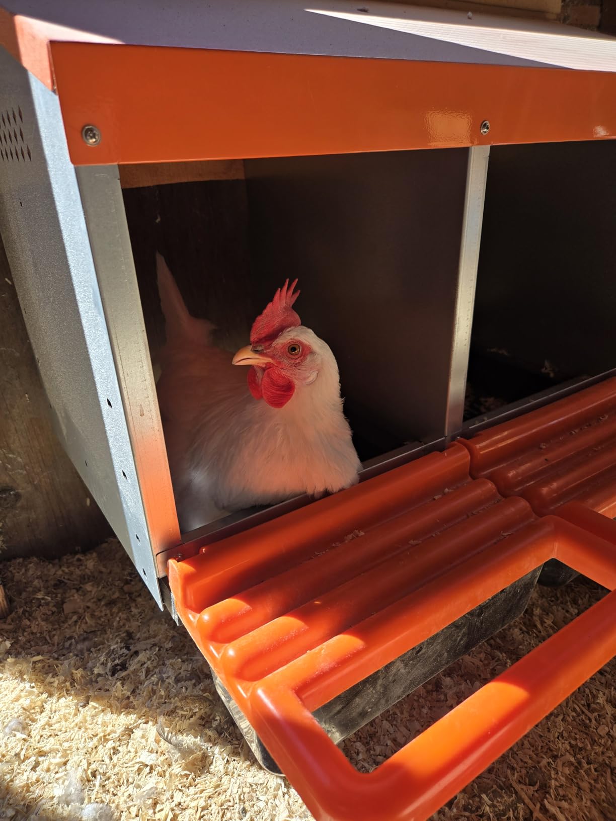 ZenxyHoC Two-Tier Chicken Nesting Box Red 6 Compartments customer photo 2