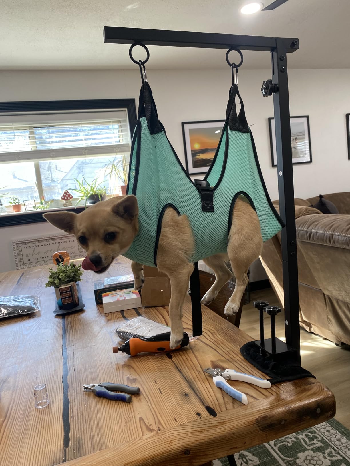 Dog Grooming Table Arm, 31.5