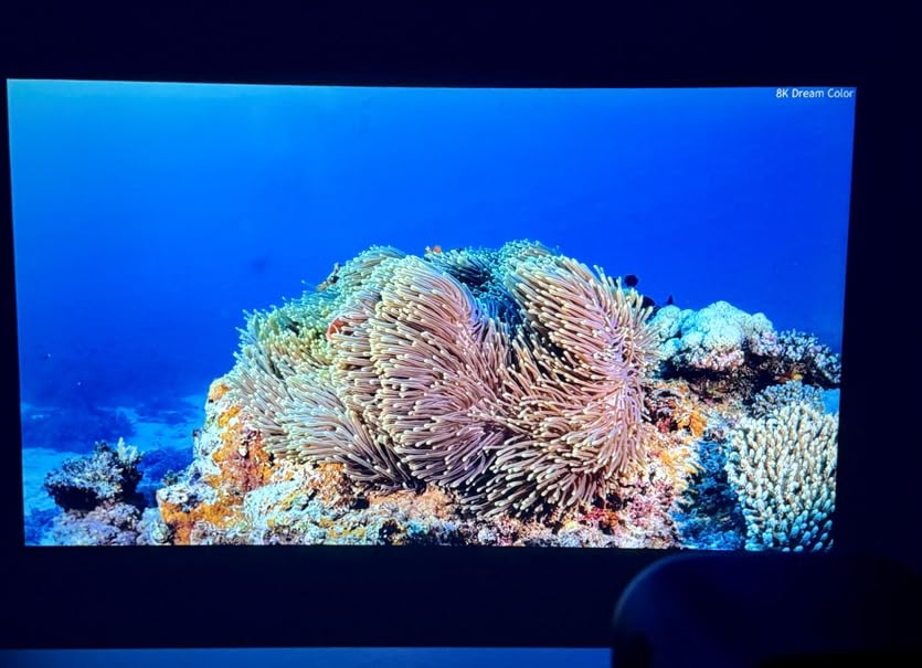 WEMAX Google TV Smart Projector, Licensed Netflix, Native 1080P FHD customer photo 1
