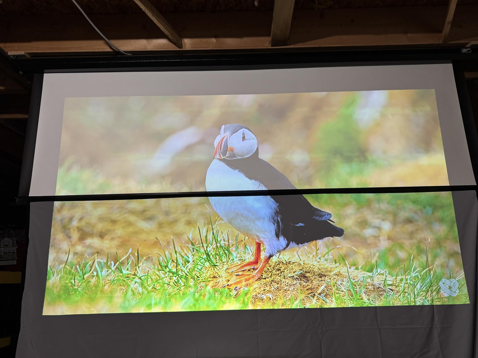 ALR Projector Screen Material for Standard Throw- for DIY Frame or Wall Mounted - High Contrast 70% ALR High Brightness 2.7X Gain - 100 inch 16:9 Gray Screen - by SilverMagic customer photo 1