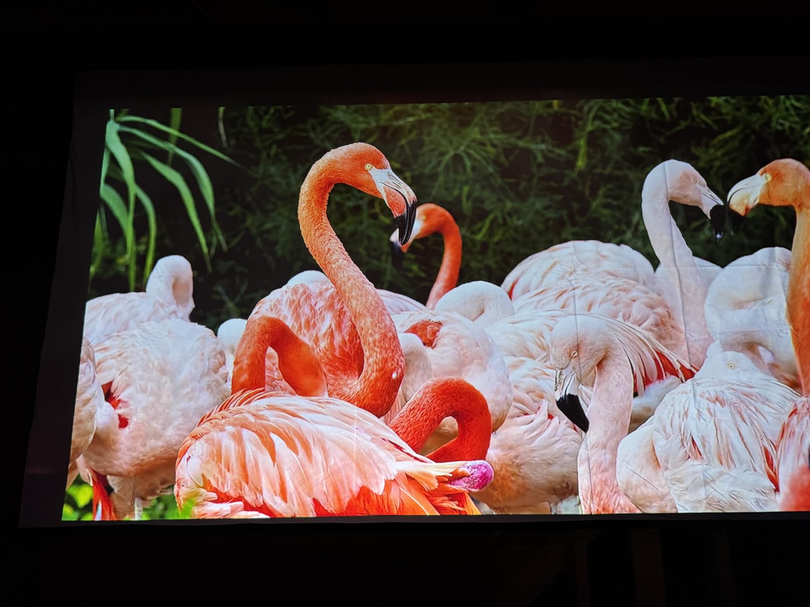 ALR Projector Screen Material for Standard Throw- for DIY Frame or Wall Mounted - High Contrast 70% ALR High Brightness 2.7X Gain - 160 inch 2.35:1 Gray Screen - by SilverMagic customer photo 2