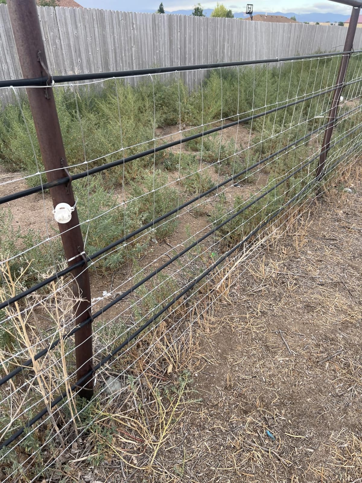 Cattle Panel 4ft x 165ft 14 Gauge Heavy Duty Galvanized Woven Wire Fence customer photo 1