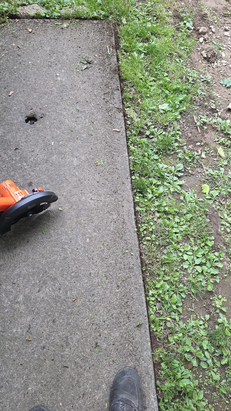 VEVOR Lawn Edger, 8-inch Blade Length, 12 Amp Electric Edger Lawn Tool, 4000 RPM, with 3-Position Blade Depth, 65 Mn, Pivoting Handle, Dual Wheels, for Lawns, Driveways, Yards, and Sidewalk Edges customer photo 2