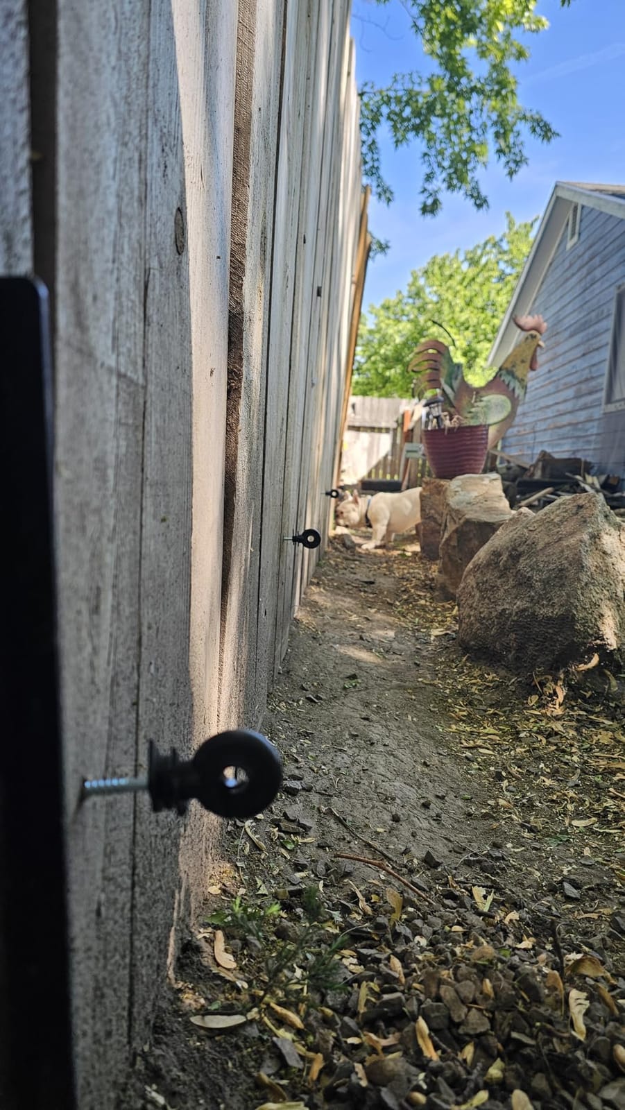 MorningRo Electric Fence Charger Kit 0.25 J 5 Mile 80 Insulators 985ft Wire customer photo 1