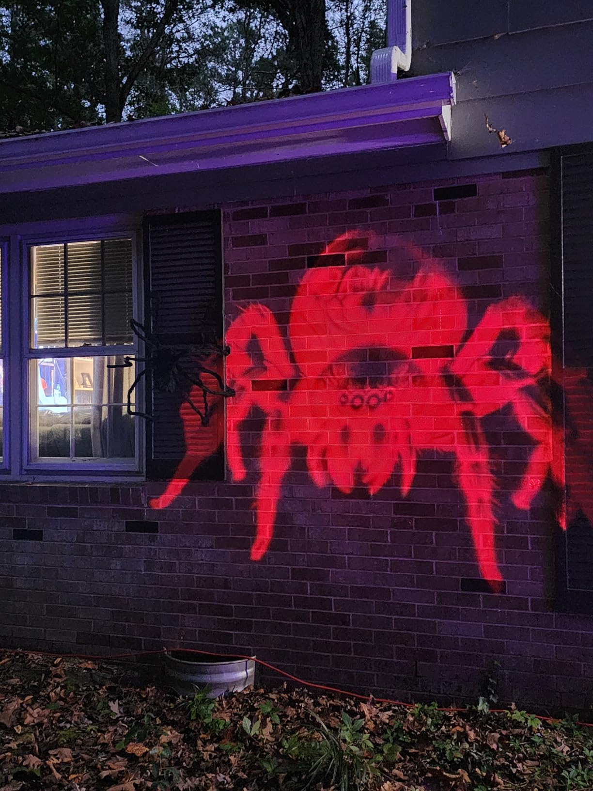 12 in 1 Halloween Projector Outdoor - 3D Dynamic Halloween Decorations,Clearer Skull/Spider/Pumpkin/Witch Cauldron HD Patterns,Holiday Lights for Window Garage Door Cover customer photo 1
