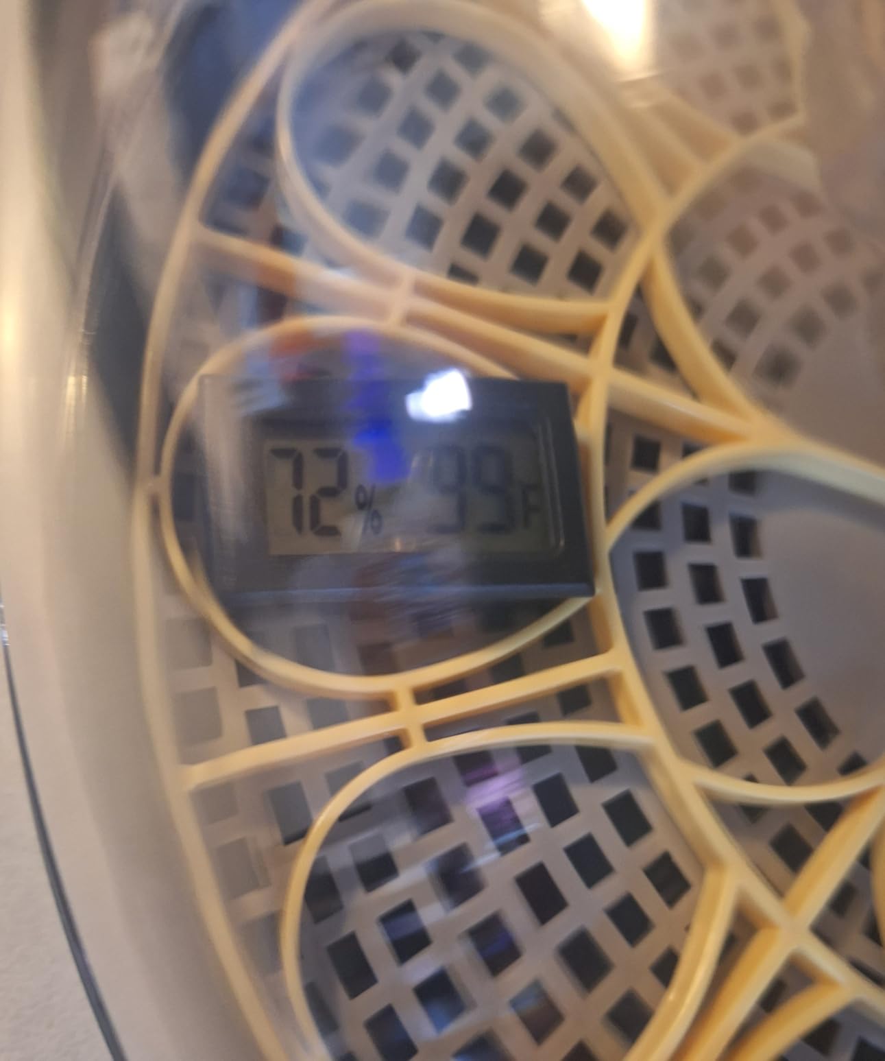 Incubators for Hatching Eggs, 56 Eggs Incubator with Egg Candler, Auto Egg Turner, Temp & Humidity Control, Hatch Day,360° Viewing for Chicken,Duck,Quail Eggs,Ideal for Farm,School and Lab,Blue&Yellow customer photo 1