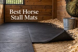 Best Horse Stall Mats