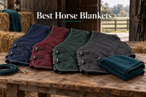 Best Horse Blankets