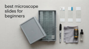 best microscope slides for beginners