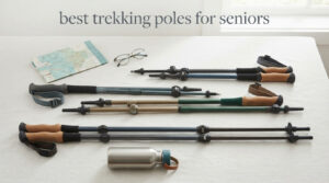 best trekking poles for seniors