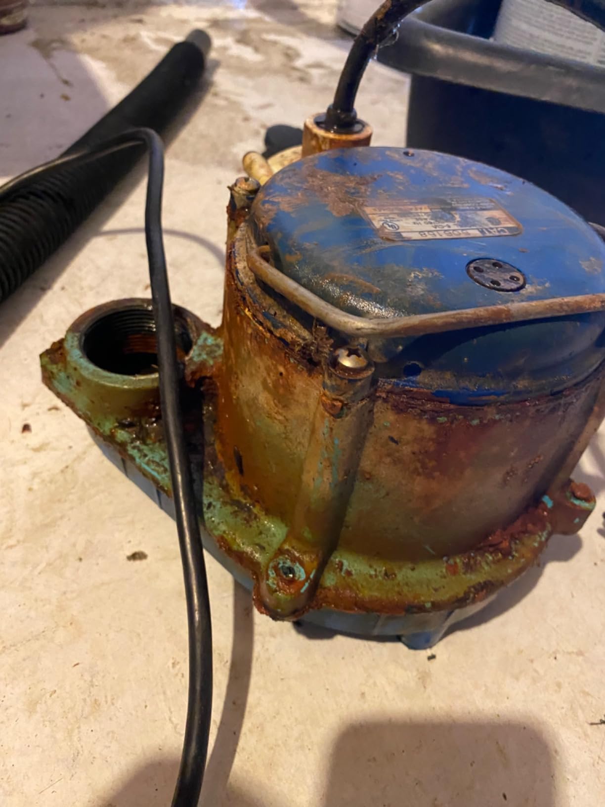 Little Giant 1/3 HP Cast Iron Submersible Sump Pump, Blue customer photo 2