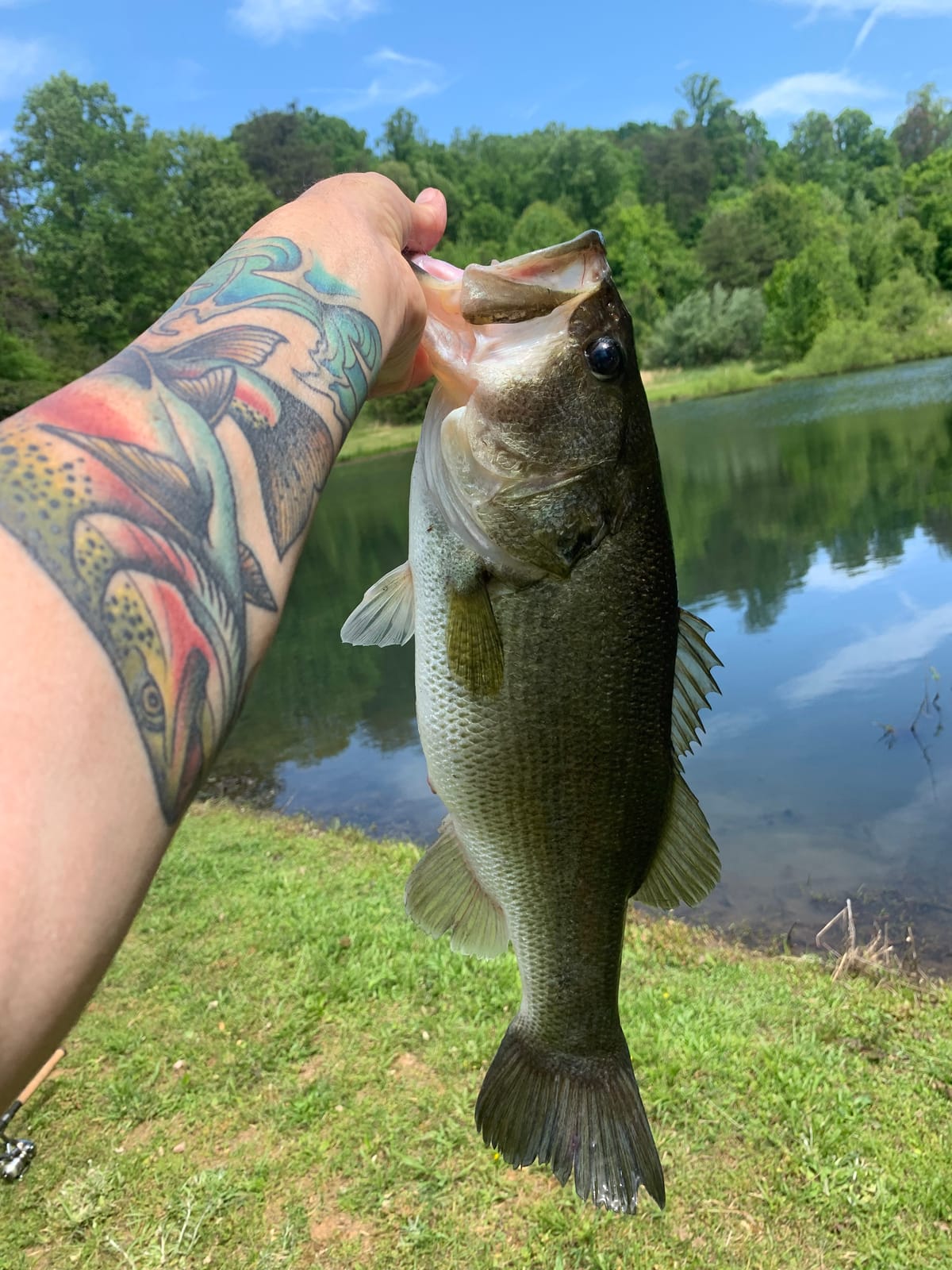 Shimano SYNCOPATE FG Spinning ReelsFishing customer photo 2