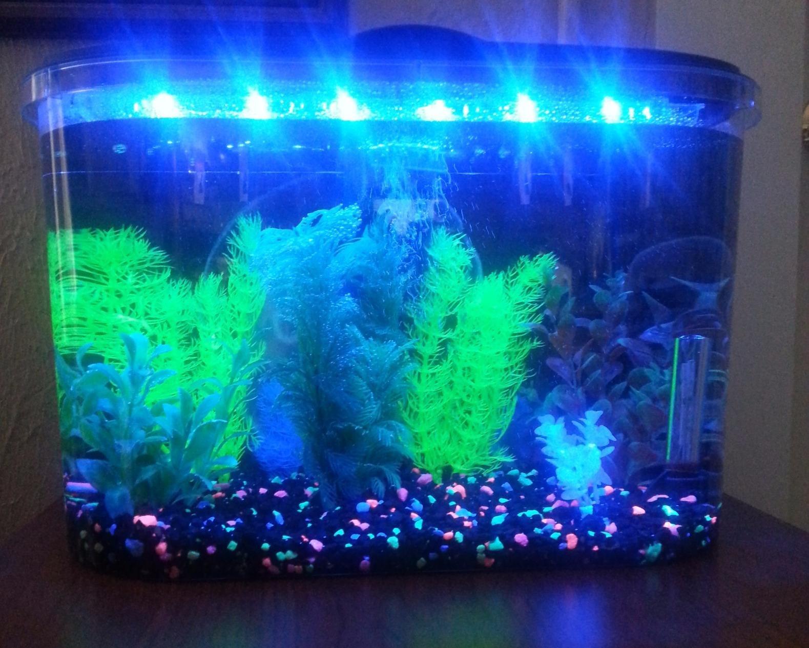 Koller Products 5-Gallon Aquarium Kit with LED Lighting and Power Filter, Ideal for a Variety of Tropical Fish customer photo 2