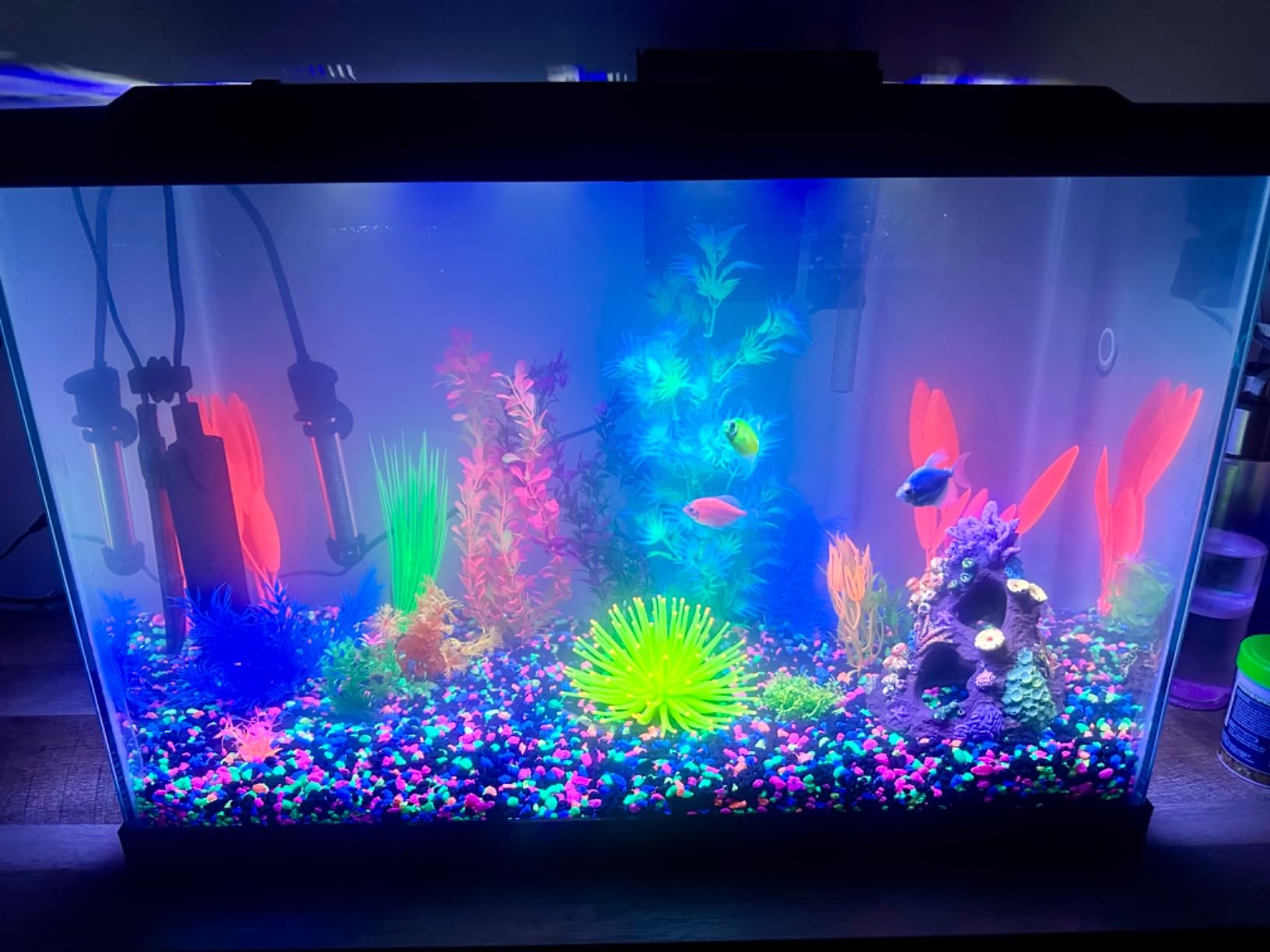 GloFish 20 Gallon Aquarium Kit with LED Lights, Decor Heater and Filter customer photo 2