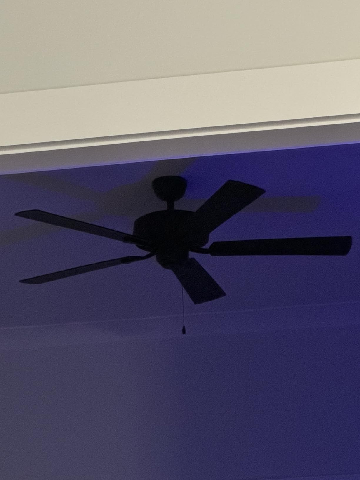 Hunter Builder Elite, Outdoor or Indoor, Ceiling Fan, 52 inch, Matte Black customer photo 2