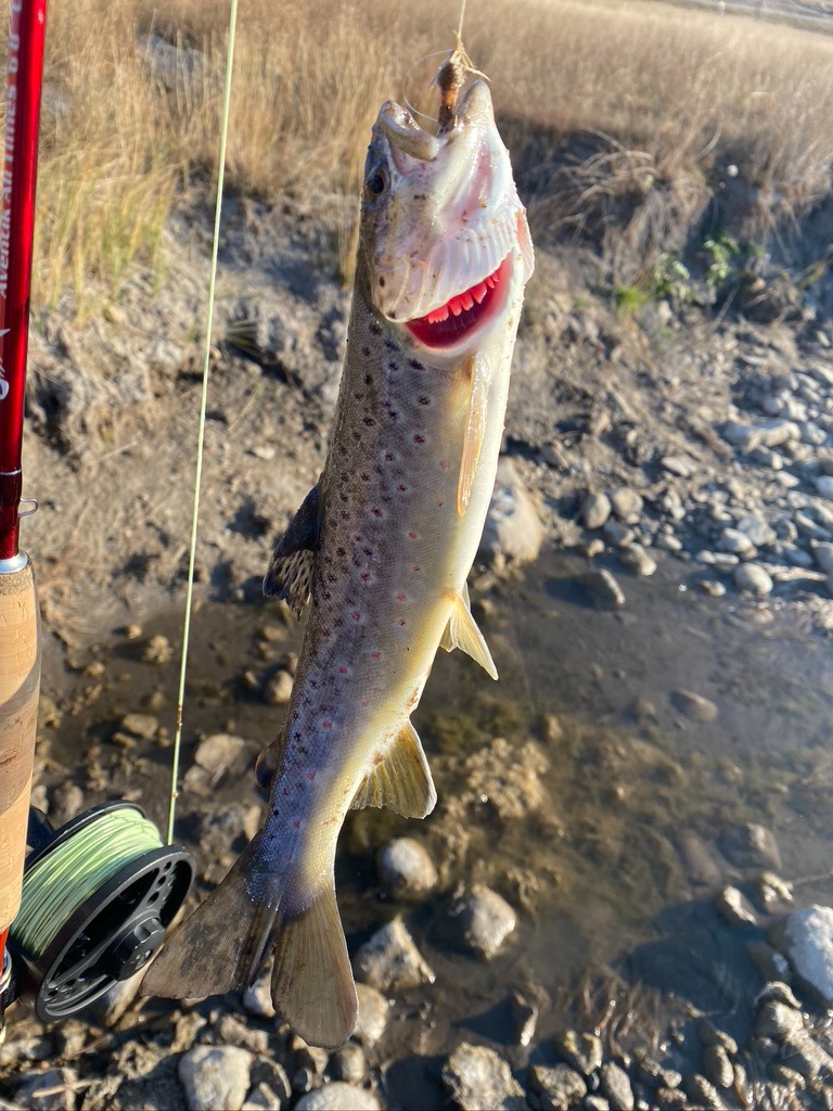 Aventik Whisperer Fly Fishing Rod with Rod Tube customer photo 2