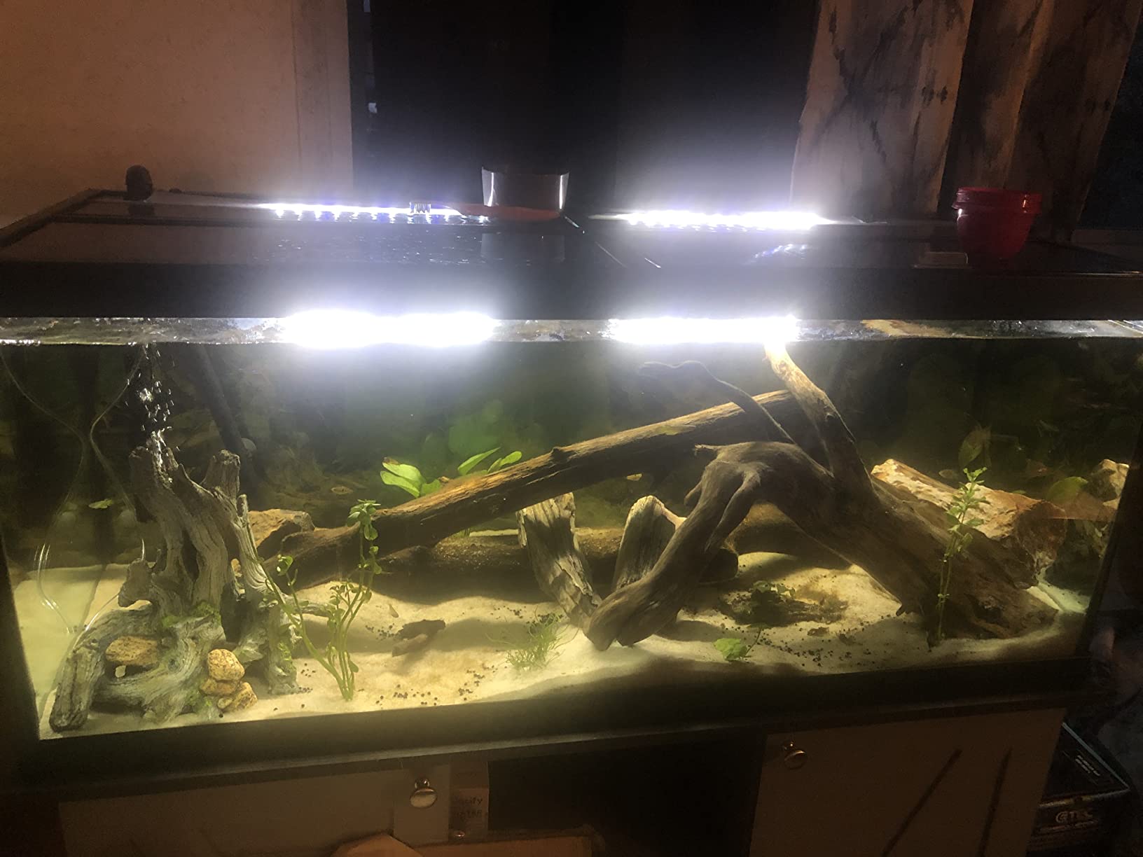 Aqueon Pro 300 Submersible Fish Tank Heater, 300 Watts customer photo 2