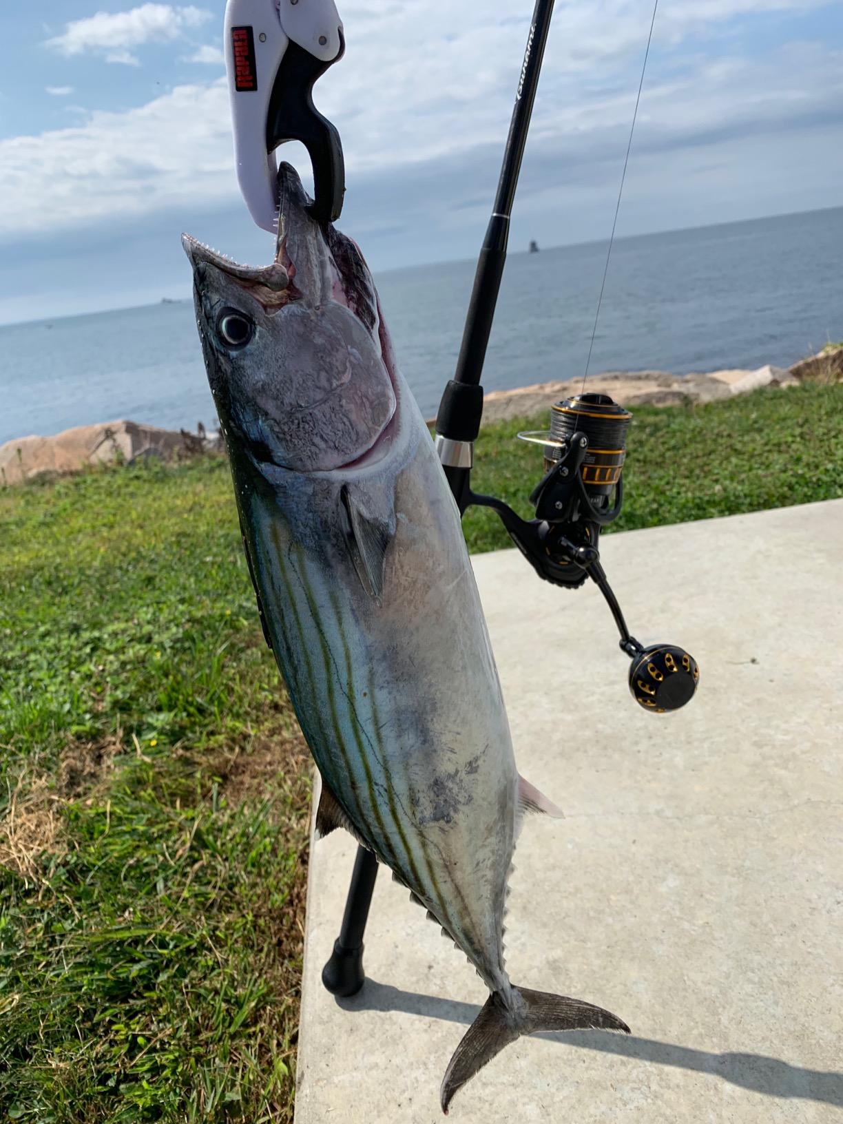 Tsunami Trophy Spinning Surf Rods Series II customer photo 1