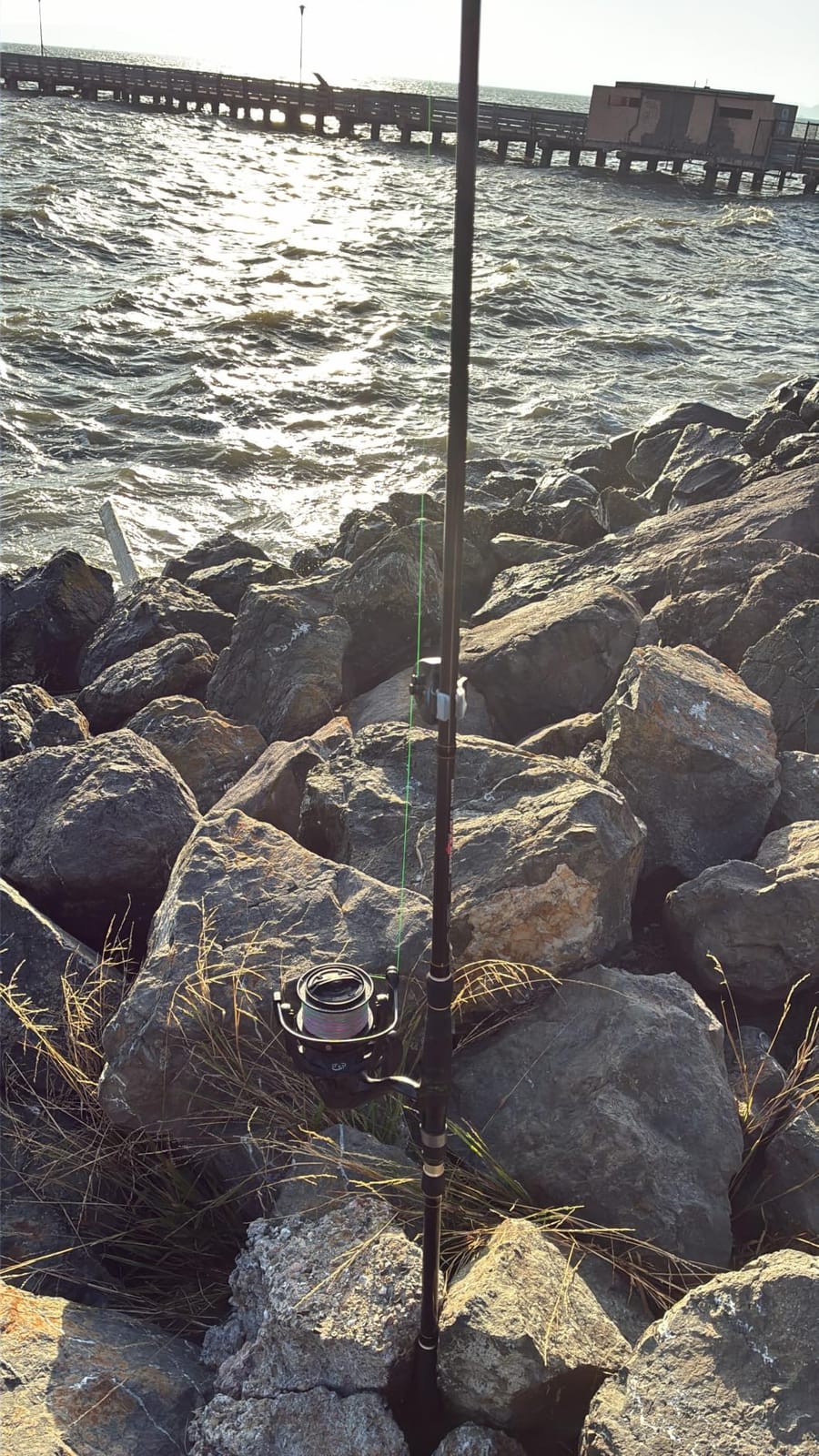 BERRYPRO Light Surf Spinning Rod Striper Fishing Rod Striped Bass surf Rod customer photo 1