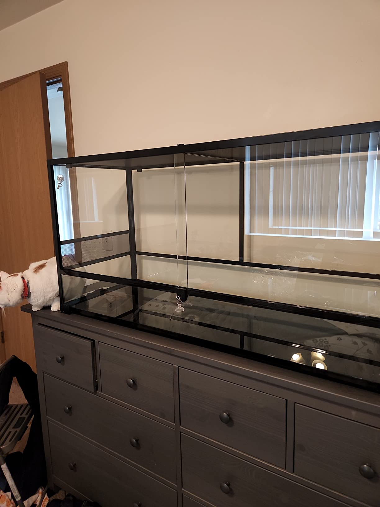 REPTI ZOO 85 Gallon Large Reptile Tank, Wide & Tall Tempered Glass Large Reptile Terrarium 47.2