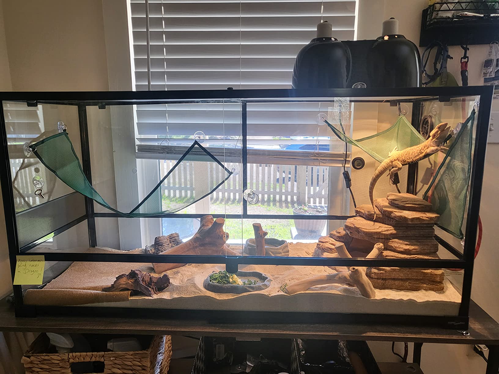 REPTI ZOO 85 Gallon Large Reptile Tank, Wide & Tall Tempered Glass Large Reptile Terrarium 47.2