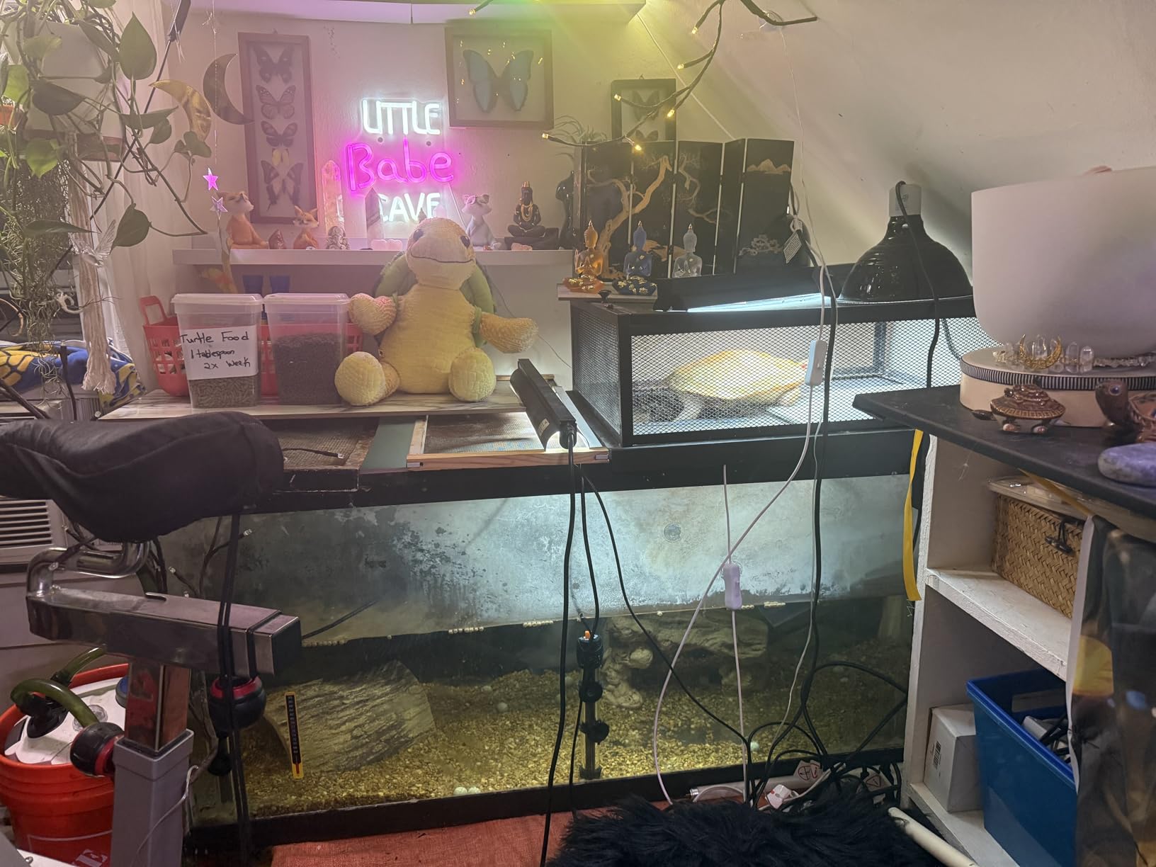 REPTI ZOO T5 HO UVB Lighting Combo Kit, Terrarium Hood Comes with Desert 10.0 UVB T5 Lamp (24W) customer photo 2