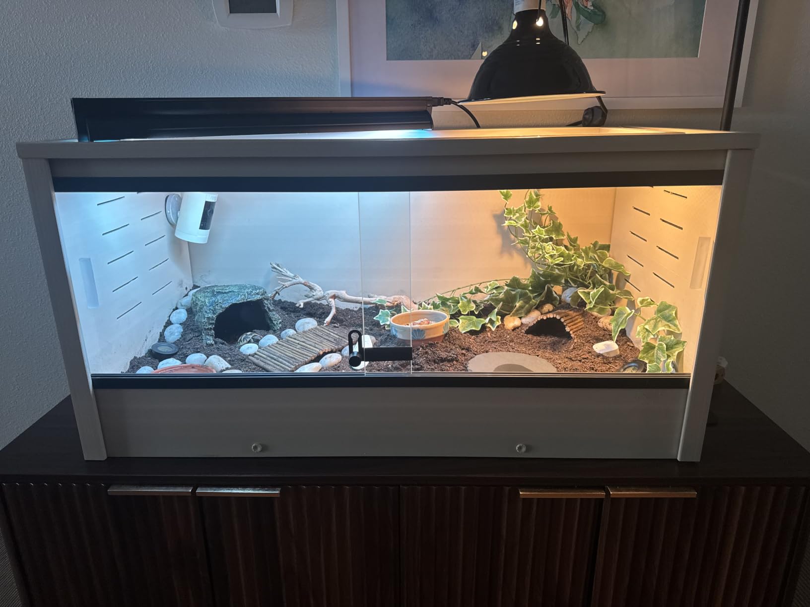 New Age Pet® ECOFLEX® 48