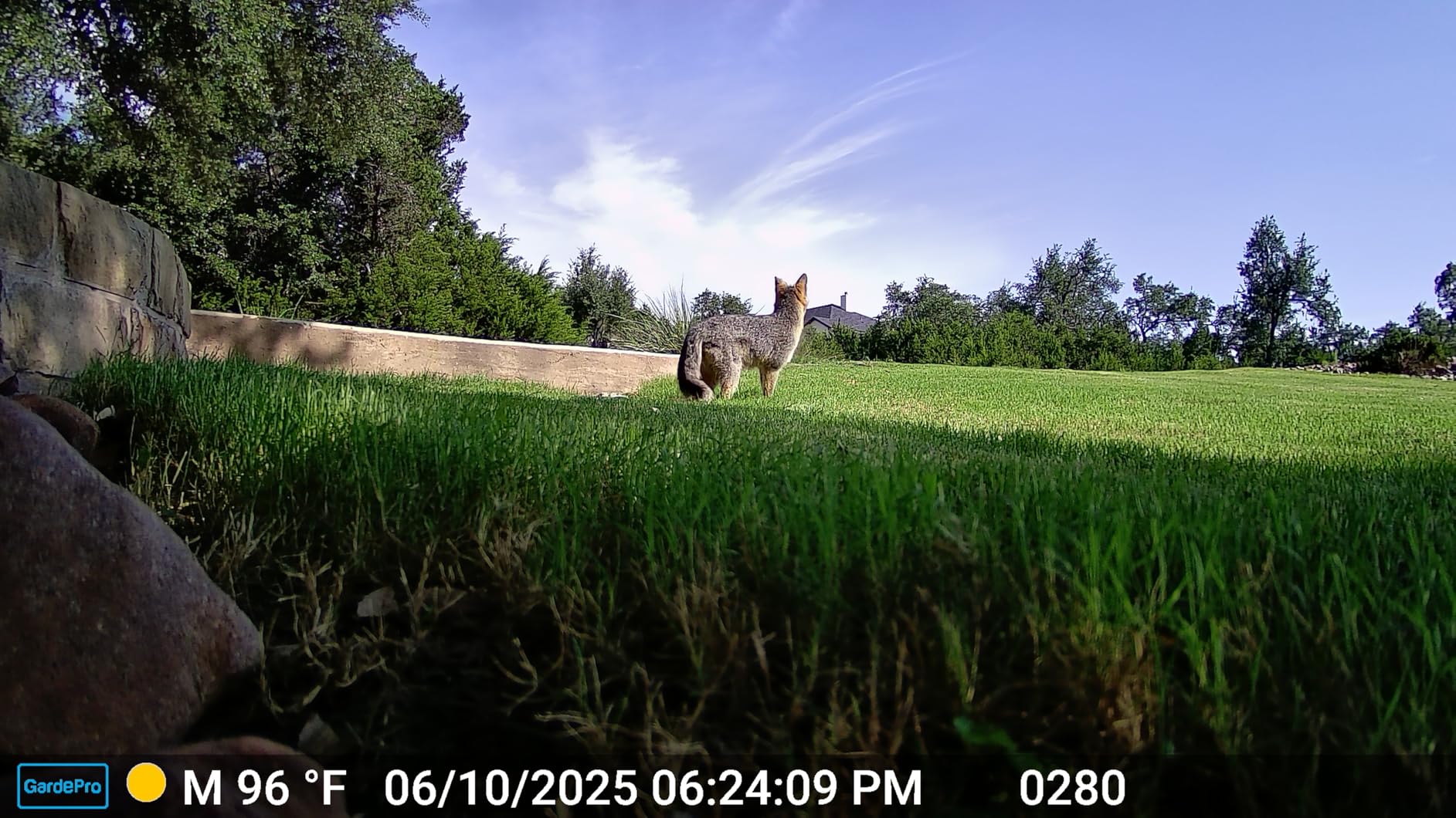 GardePro E6 WiFi Trail Camera, Stable WiFi with External Antenna customer photo 1