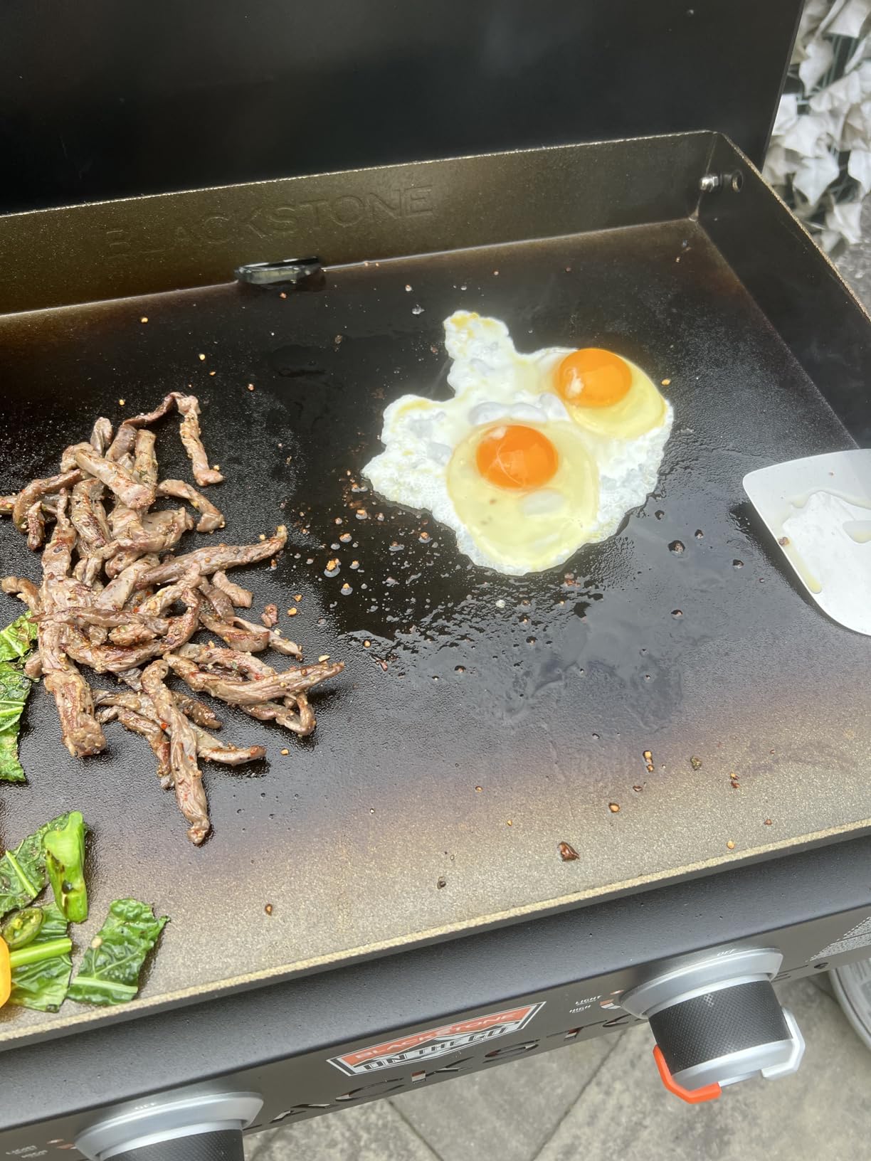 BLACKSTONE 22” On The Go Scissor-Leg Griddle with Two Burners -Stainless Steel Gas Griddle with Hood, Wheels, Side Shelf –Heavy Duty Outdoor Stainless Steel Griddle for Backyard, Patio Camping –1935 customer photo 2