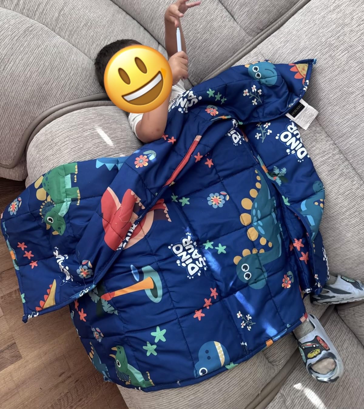 Dinosaur Weighted Blanket 5lbs Cool Small Heavy Throw Blanket Gifts 36