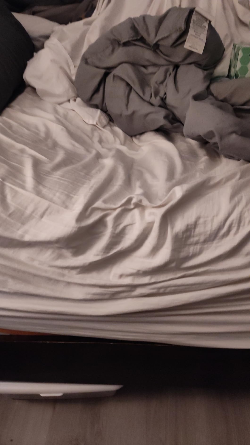 ESHINE Adjustable Bed Frame with 14