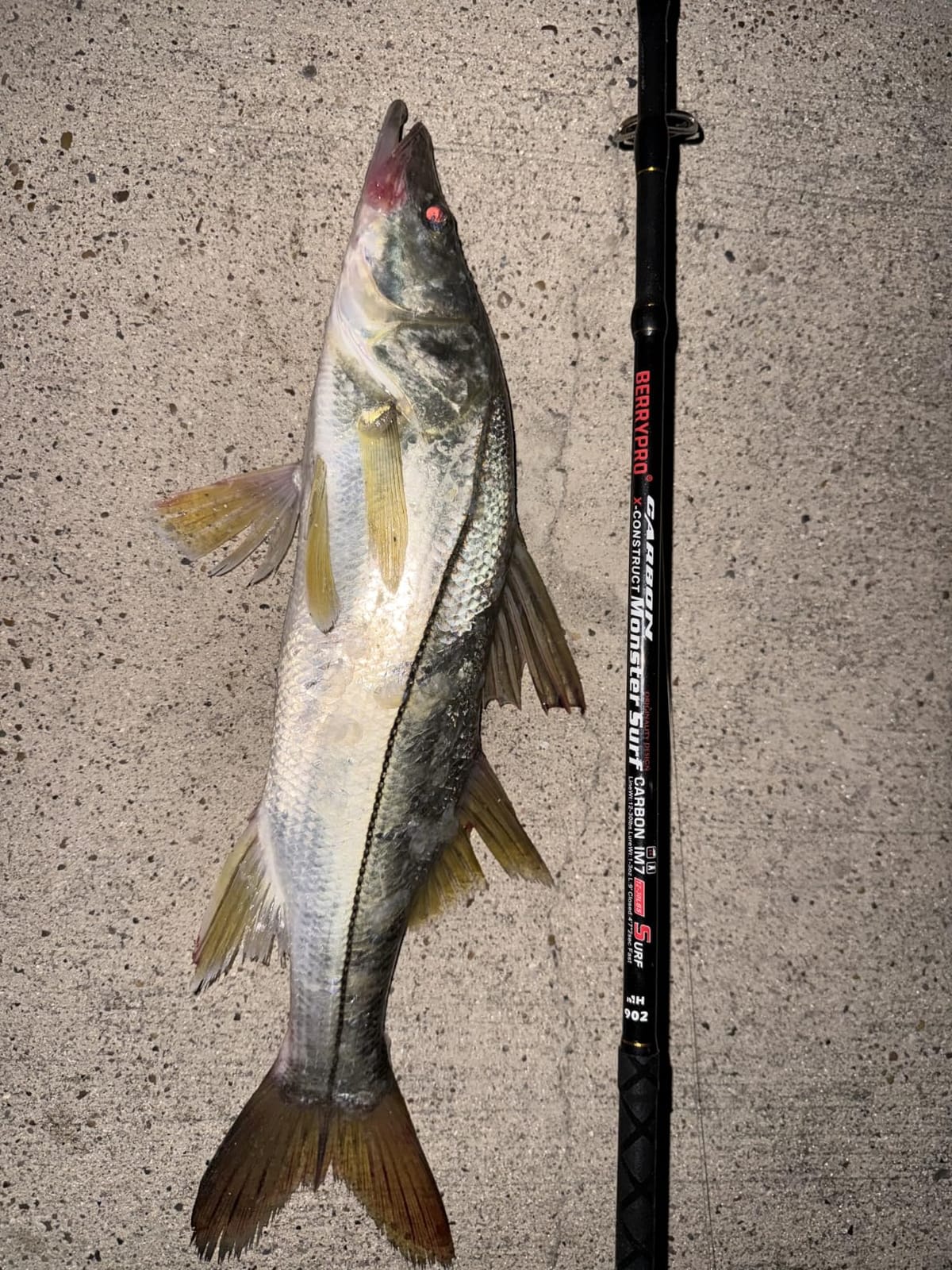 BERRYPRO Surf Spinning Rod Full Carbon Surf Fishing Rod with Fuji Guide customer photo 2