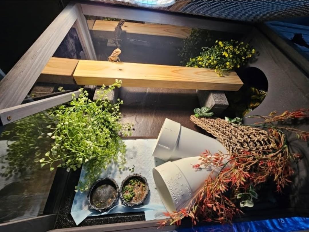 GEGURI Tortoise Habitat Indoor & Outdoor, Wooden Tortoise House with Detachable Legs, Reptile Cage for Small Animals customer photo 1
