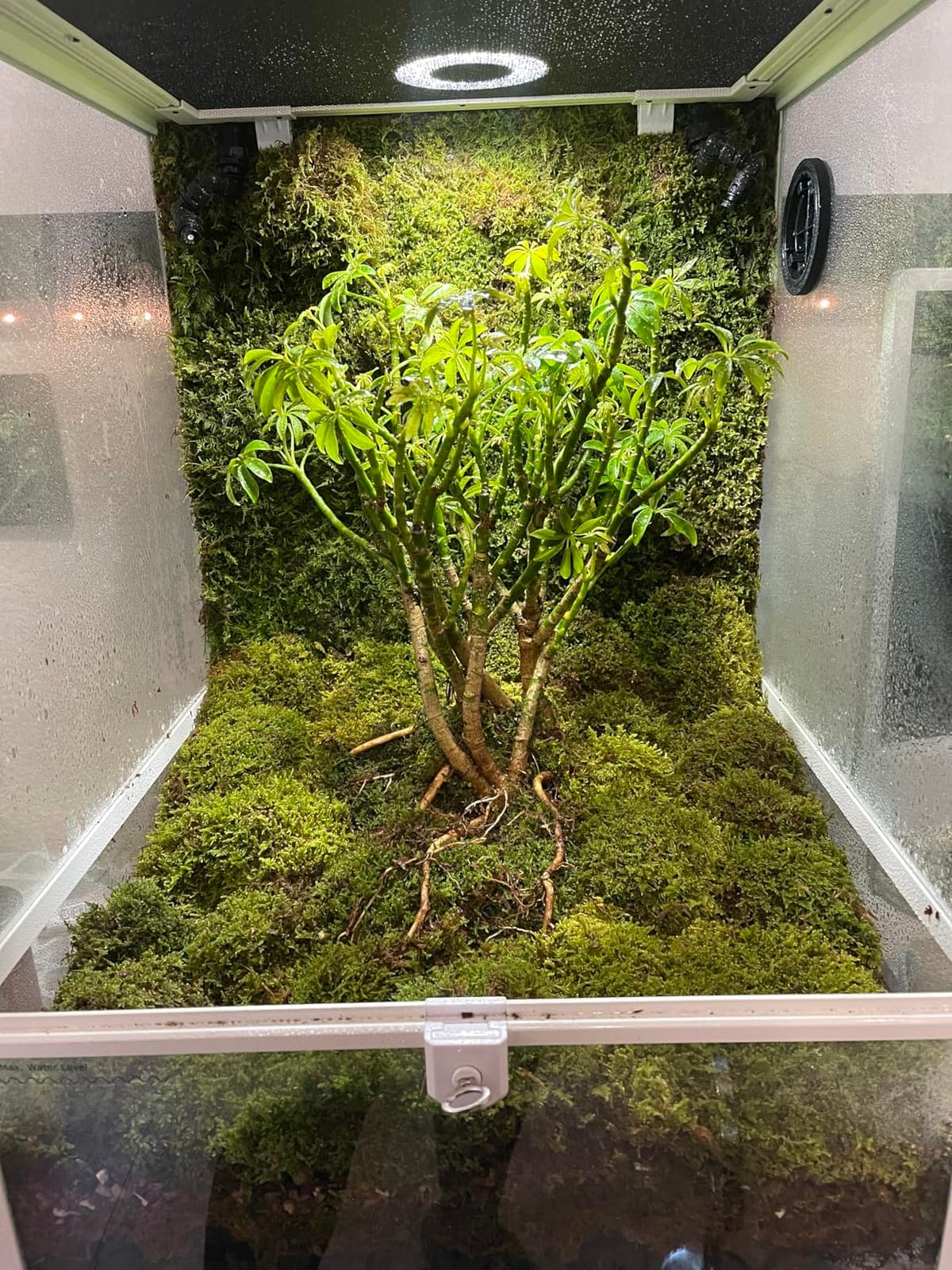 30 Gallon Reptile Tank 18