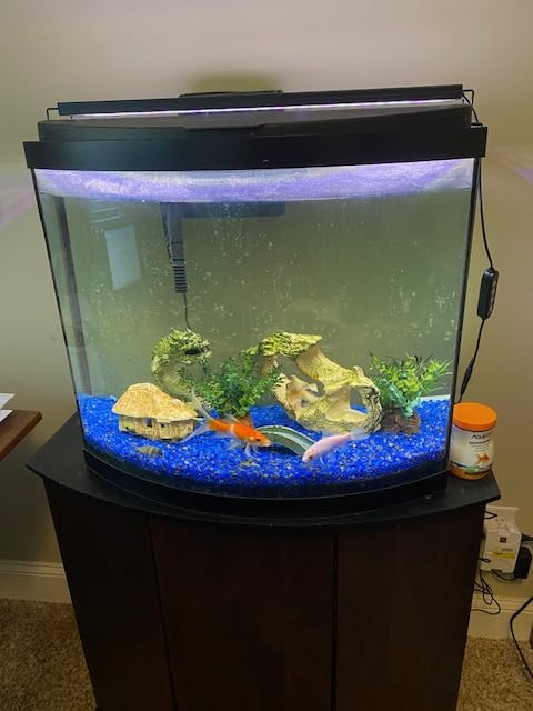 GLOWRIUM Full Spectrum Freshwater Aquarium Light, Fish Tank Light (36-41in customer photo 1
