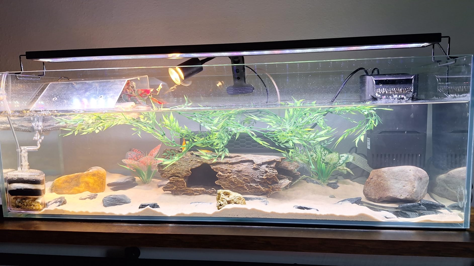 GLOWRIUM Full Spectrum Freshwater Aquarium Light, Fish Tank Light (36-41in customer photo 2