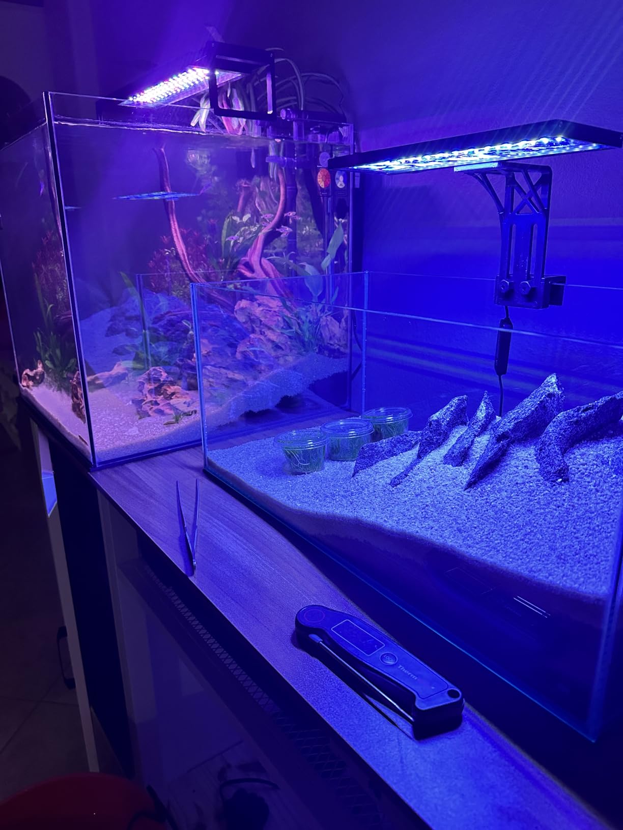 SEAOURA Clip On Aquarium Light for Plants-24/7 Fish Tank Light, 12-20 Inch customer photo 1