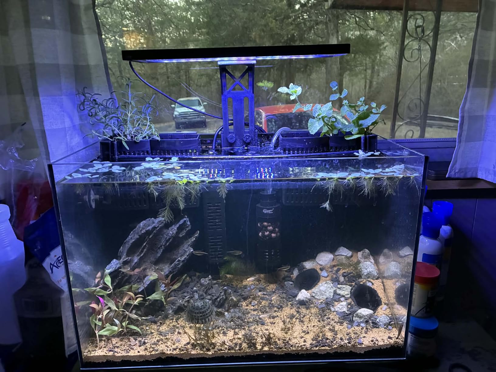 SEAOURA Clip On Aquarium Light for Plants-24/7 Fish Tank Light, 12-20 Inch customer photo 2