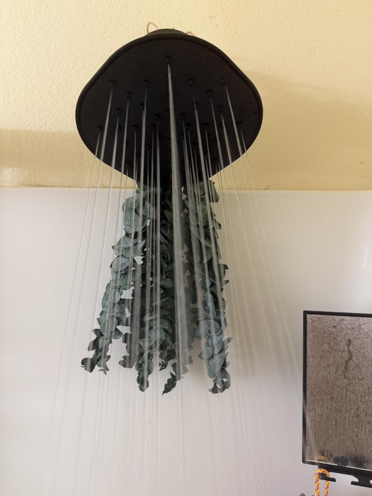 Afina Filtered Shower Head, High Pressure Rainfall (Chrome) customer photo 2