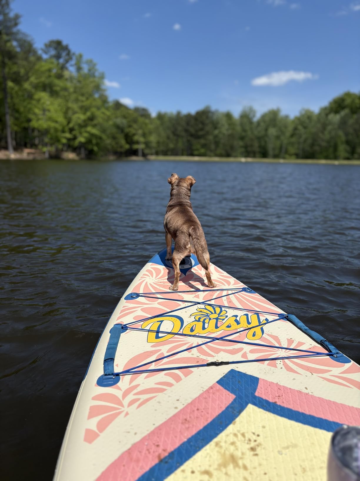 iTAOSTAR Daisy-Blossom as Daisy, 11'6 × 35, Paddle Board w/All Accessories customer photo 1