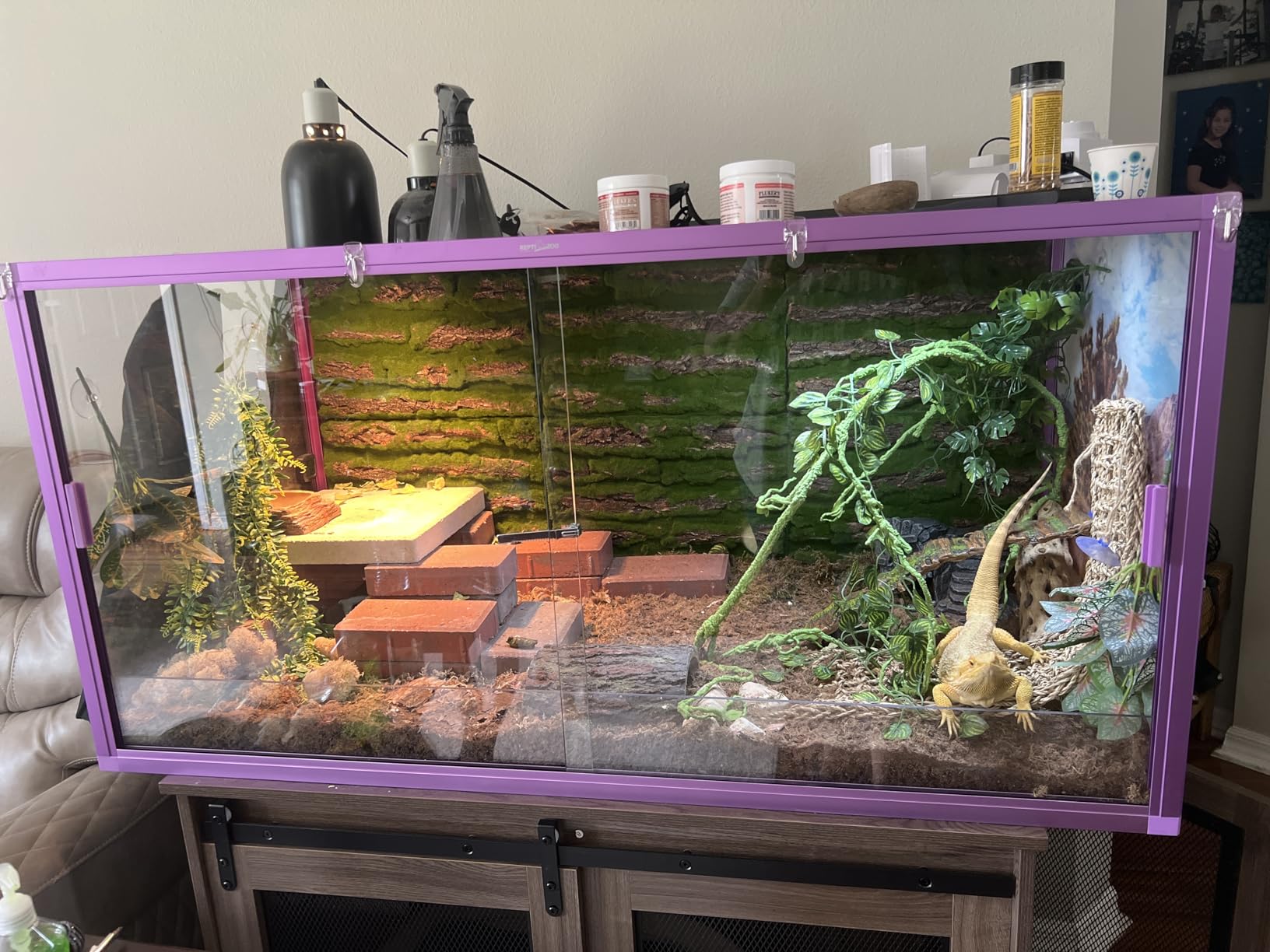 REPTI ZOO 120 Gallon Reptile Terrarium, 4x2x2 ft Light Weight Reptile Enclosure, Colored Reptiles Tank with Tempered Glass Door, Large Aluminum Habitat for Bearded Dragon, Snake, Lizard, Gecko-Purple customer photo 2